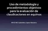 Uso de metodología y procedimientos objetivos para la ...congreso.fmvz.unam.mx/pdf/memorias/MEMORIAS EQUINOS... · procedimientos objetivos para la evaluación de claudicaciones