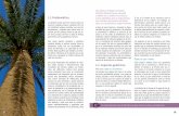 1.2. Aspectos genéricos. de arbolado.pdfsabina, ciprés, arce de Montpellier - Un árbol de 12 m de altura puede absorber 225 l de solución nutritiva al día, las hojas transforman