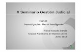 Panel: Investigación Penal Inteligentew1.cejamericas.org/.../Panel6_InvestigacionPenalInteligente_CBARCI… · Panel: Investigación Penal Inteligente Fiscal Claudia Barcia Ciudad