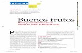 44 savia54 informe - Amadeus€¦ · 44 _ SAVIA _ ENERO2008 informe ESPECIAL S Buenos frutos Retos y expectativas de un sector en auge: el turismo rural P uente del Pilar: los establecimientos