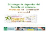 Estrategia de SP en Andalucia. Avanzando en Cooperación ... · preventivas, pruebas diagnósticas y actividades terapéuticas), que tienen como finalidad incrementar el nivel de