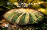 El Papelillo - Vallarta Botanical Gardens · 2018-10-23 · riqueza de los tesoros naturales de nuestra región es, en mi opinión, hacia donde debemos dirigir nuestros esfuerzos.