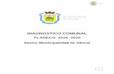 DIAGNOSTICO COMUNAL - Olmué...Olmué pertenece a la Provincia de Marga Marga creada el año 2009 e instaurada oficialmente el 11 de marzo de 2010, tomando de base a las comunas de