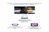 Estudio y evaluacin de callo de hacha (Atrina tuberculosa)cobi.org.mx/wp-content/uploads/2012/08/2005-t-cobi... · “callos” ( escarlopa Spondylus spp.). De igual manera el recurso