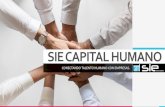 SIE CAPITAL HUMANO · 2019-05-04 · SIE CAPITAL HUMANO •Somos una empresa 100% Mexicana. Nuestro objetivo es conectar al mejor talento con las empresas, satisfaciendo los requerimientos