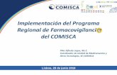 Implementación del Programa Regional de Farmacovigilancia del … · 2018-07-03 · vía web-conferencia a partir . del 2012. SECOMISCA Y AEMPS ... Implementación de la Base de