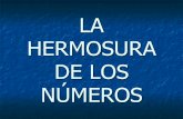LA HERMOSURA DE LOS NÚMEROS · 2019-04-01 · LA HERMOSURA DE LOS NÚMEROS. Mira esto con atención. 1 x 8 + 1 = 9 12 x 8 + 2 = 98 123 x 8 + 3 = 987 1234 x 8 + 4 = 9876 12345 x 8