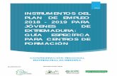 INSTRUMENTOS DEL PLAN DE EMPLEO 2018 - 2019 PARA …€¦ · de Formación Profesional) de “Instrumentos del Plan de Empleo 2018 - 2019 para jóvenes de Extremadura”muestra en