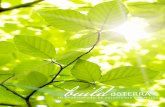 build · Herbalife - 16 años Crecimiento Ingreso anual (en miles de millones) de dōTERRA Otras empresas de mercadeo en red de cultivo forestal 1234567 dōTERRA® es el lugar donde