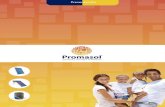 Presentacion promasol (2)promasol.com/.../2016/11/Presentacion-promasol-2.pdf · Captadores solares PROMASOL, dispone de una amplia gama de captadores solares ... Kits Forzados 10