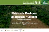 Presentación de PowerPoint181.225.72.78/.../primer_seminario_deforestacion/... · deforestacion por mineria 2013* % deforestacion por mineria 2014* % deforestacion por mineria 2015*