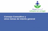 Consejo Consultivo y algunos temas importantes - PERAJ · 2018-06-20 · Consejo Consultivo Composición del Consejo • Presidente, Secretario (Peraj México) • 1 representante