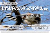 tsingys baobabs madagascar 043 - ClubAmérica · Condiciones según folleto Club África 2019/2020. Según el artículo 157 del Real Decreto Legislativo 1/2007 ... el Vositse o la