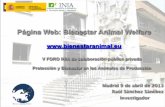 Página Web: Bienestar Animal Welfare...OBJETIVOS de la página web bienestar animal.eu - Ofrecer información relativa al bienestar animal de animales de producción. - Fomentar la