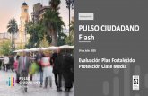 Publicación #25 PULSO CIUDADANO Flash · 2020-07-15 · 1,24 3 1,61 14,6 71,2 Partido Republicano (Jose 3,4 ... Fortalecido de Protección de Clase Media, con el objetivo de ayudar