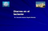 Diarrea en el lactante - pediatrasyucatan.org.mxpediatrasyucatan.org.mx/admin/uploads/page_menu_pages/diarrea-e… · diarrea aguda ocasiono la muerte de 1.5millones de niños en