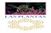 LAS PLANTAS - cursa.ihmc.us1RV3MZZK1-27BDQ45-33CX/las-plantas1.pdf · LAS PLANTAS El reino vegetal está compuesto por plantas de todo tipo. Son imprescindibles para la vida. Producen
