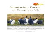 Patagonia - Fauna al Completo V2 FI/FAUNA... · Grandes espacios, fríos espacios, y agua, mucha agua tanto líquida como en forma de hielo. En estos ambientes que siempre han fascinado