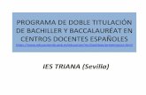 PROGRAMA DE DOBLE TITULACIÓN DE BACHILLER Y … · 2020-03-12 · 3 horas Historia de España y Francia (FR) 3+1* horas Lengua y Literatura Francesa 3+2* horas Materia Específica