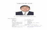 FORMATO “E” · Web viewCOMISIÓN ESPECIAL encargada de formular el REGLAMENTO DE INCENTIVOS de la Policía Nacional del Perú. A mérito de la Resolución Ministerial N 0851-2015-IN