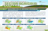 Presentación de PowerPointcorponor.gov.co/publica_recursos/Boletines_Estado_Tiempo/agrome… · Figura 1. Precipitación diaria acumulada desde el lunes 29 de agosto al domingo 04
