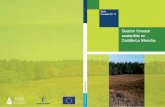 Gestión forestal sostenible - ASAJA CLM · forestal en España, coordinada por el Ministerio de Medio Ambiente y en cooperación con las Comunidades Autónomas. Los principales datos