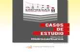 Sector Hidrocarburos - Transparencia Venezuela · En las empresas mixtas que operan en la Faja Petrolífera del Orinoco (FPO) también existe un historial de corrupción. En un informe