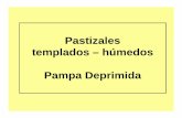 Pastizales templados – húmedos Pampa Deprimida · 1) Descripción de los pastizales de la Pampa Deprimida 2) Efectos generales de la inundación y el pastoreo 3) Modelo conceptual