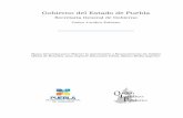 Gobierno del Estado de Puebla · 2019-10-11 · Particular para impartir estudios de tipo básico en sus niveles de preescolar, primaria y secundaria. DIRECCIÓN: A la Dirección