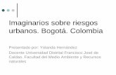 Imaginarios sobre riesgos urbanos. Bogotá. Colombia · Imaginarios sobre riesgos urbanos. Bogotá. Colombia Presentado por: Yolanda Hernández Docente Universidad Distrital Francisco