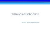 Presentación de PowerPoint · Respuesta inmune contra Chlamydia •La infección por Chlamydia ocurre en el tracto genital y atrae a diferentes tipos de células del Sistema inmune