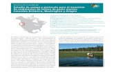 Resumen de investigación Estudio de campo y protocolo para ......3 Estudio de campo y protocolo para el muestreo de sedimentos de lecos de pasto marino Columbia Británica, Washington