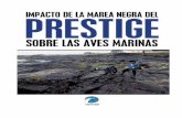 Impacto de la Marea Negra del Prestige sobre las Aves ... · Galicia todavía recibió una cuarta marea negra, cuando el 4 de enero, la Costa de la Muerte vuelve a amanecer cubierta