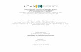 TRABAJO ESPECIAL DE GRADObiblioteca2.ucab.edu.ve/anexos/biblioteca/marc/texto/AAS8412.pdf · sistemas de Movilnet para actualizar la misma. Por tal motivo se plantea el desarrollo