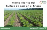 Marco Teórico del Cultivo de Soja en el Chaco...2018/12/03  · •El cultivo de soja se inicio en el Alto Chaco de la mano de Joaquim Koehler quien cultiva 50 has en el año 2007,