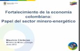 Fortalecimiento de la economía colombiana: Papel del sector … · 2019-12-17 · Estuctura de negocios: Oleoducto público, abierto a todos los inversionistas, contratos de capacidad