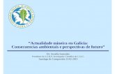 “Actualidade mineira en Galicia: Consecuencias ambientais ...cienciastierra.weebly.com/uploads/8/8/5/7/8857465/... · Explotación mineira intensiva en Galicia • A produción