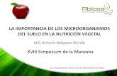LA IMPORTANCIA DE LOS MICROORGANISMOS DEL SUELO EN …P. S. 2012) La... · Nutrición vegetal = Mejor dosis de diversos nutrientes Eficiencia del fertilizante utilizado Fertilizante