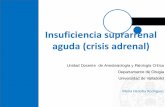 INSUFICIENCIA SUPRARRENAL AGUDA (CRISIS ADRENAL)biocritic.es/.../12/59.Insuficiencia-suprarrenal.pdf · responde mal a la reposición con líquidos • Dolor abdominal que simula