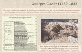 Georges Cuvier (1769-1832) - aragosaurus.com · Georges Cuvier (1769-1832) Comenzó estudiando los yesos de Montmartre, descubriendo que los vertebrados que se encontraban en ellos