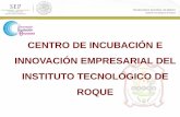 Instituto Tecnológico de Roque - CENTRO DE INCUBACIÓN ...Instituto Tecnológico de Roque Nuestra Misión Crear las condiciones necesarias para que las ideas, el talento, el conocimiento,