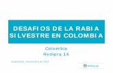 DESAFIOS DE LA RABIA SILVESTRE EN COLOMBIApanaftosa.org/redipra16/dmdocuments/REDRIPRA 16... · 2017-11-30 · 2. CICLO SILVESTRE: En Colombia propagado principalmente por murciélagos