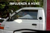 INFLUENZA A H1N1€¦ · • Influenza o gripe ... respiratorios, que podría corresponder a la circulación de un virus respiratorio no seleccionado para vigilancia o transporte