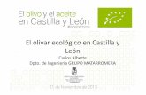 El olivar ecológico en Castilla y León · • Superficie de olivo en AE: 102,70 ha. CONCLUSIONES • Nº transformadores aceituna AE: 2 • Amplio margen de mejora –oportunidad.