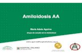 Amiloidosis AA - Bioquimica€¦ · Tos y Hemoptisis 2 (15%) Nódulo pulmonar 1 (8%) Amiloidosis AA REGISTRO INSTITUCIONAL DE AMILOIDOSIS Descripción de las variables de la población