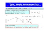 TEMA 1 Métodos Matemáticos en Física€¦ · Veamos si en el caso de la cuerda es posible obtener resultados análogos. Veamos si existen movimientos transversales LIBRES (i.e.
