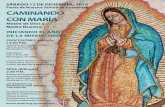 Fiesta de Nuestra Señora de Guadalupe CAMINANDO CON MARíAadw.org/wp-content/uploads/2014/11/15-Guadalupe-flier-Span.pdf · motivo del Año de la Misericordia MISA (Bilingüe) 2:30