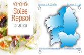 Province of A Coruأ±a Soles Repsol in Galicia Province of ... Province of Pontevedra Province of Lu