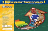 Nº 15 - IBCE · Nº 15 Publicación mensual - Año 2, julio de 2007 CONTENIDO Págs. Editorial Temas Institucionales 1-2 • IBCE - CANEB Producción con Potencial Exportador 3 ...