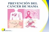 PREVENCIÓN DEL CÁNCER DE MAMA · 2020-07-30 · Actualmente, es el cáncer de mayor incidencia del sexo femenino con una mortalidad similar a la del cáncer de cérvix. JUSTIFICACIÓN.
